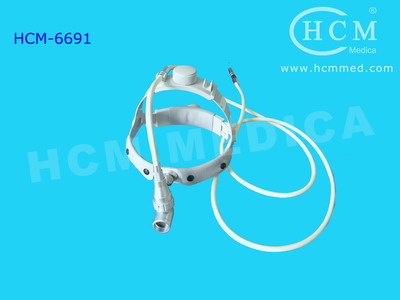 fiber optic cable headlight